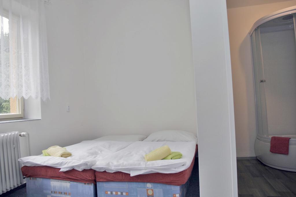 Sport Hotel Mustek Яхимов Екстериор снимка
